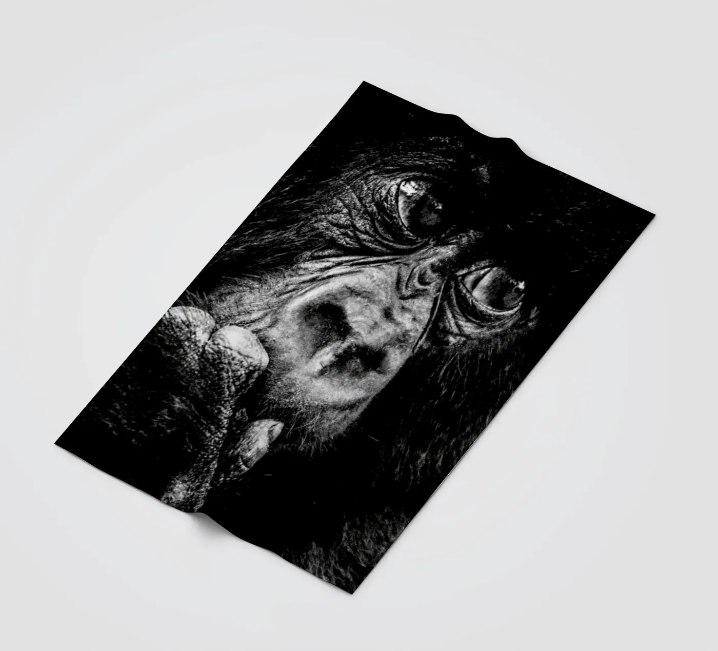 Gorilla plaid polaire de Natural Kingdom