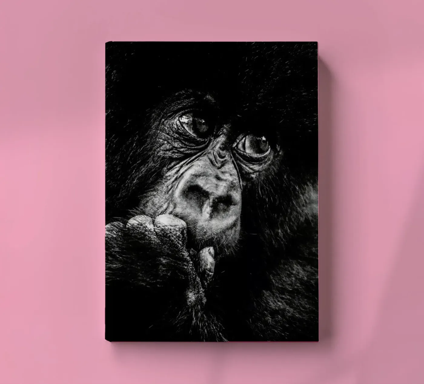 Gorilla notebook by Natural Kingdom
