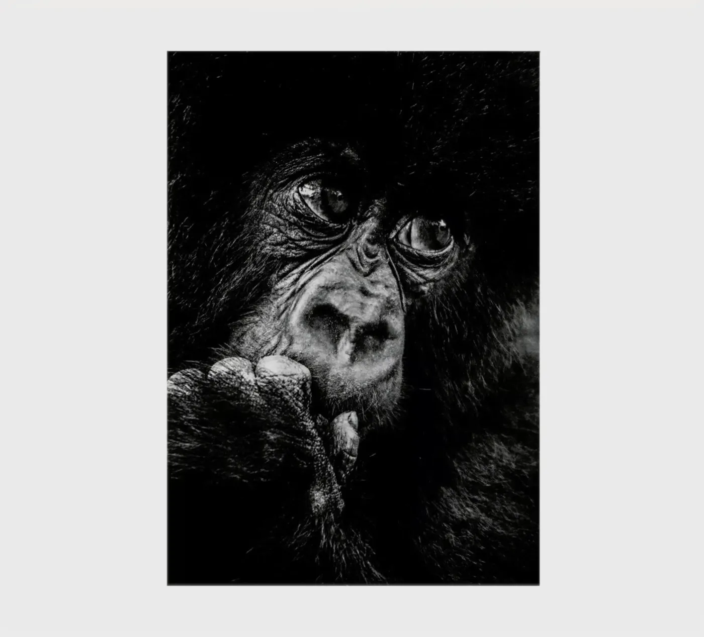 Gorilla notebook by Natural Kingdom