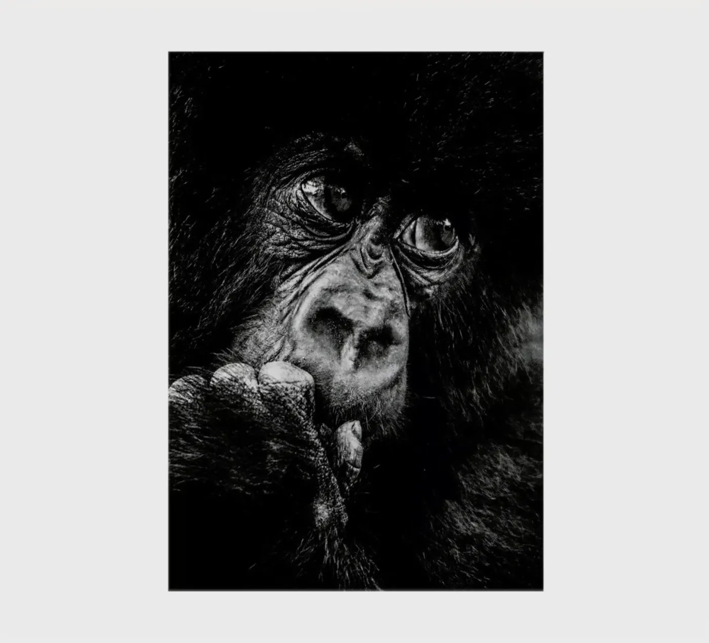 Gorilla notebook by Natural Kingdom