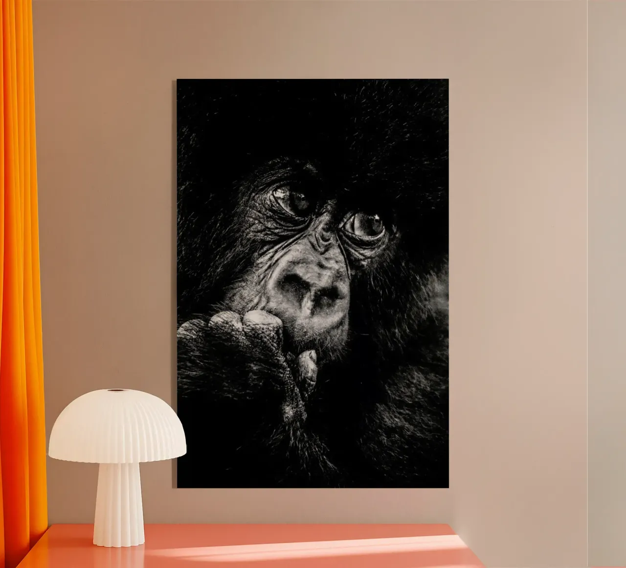 Gorilla plexiglass da Natural Kingdom