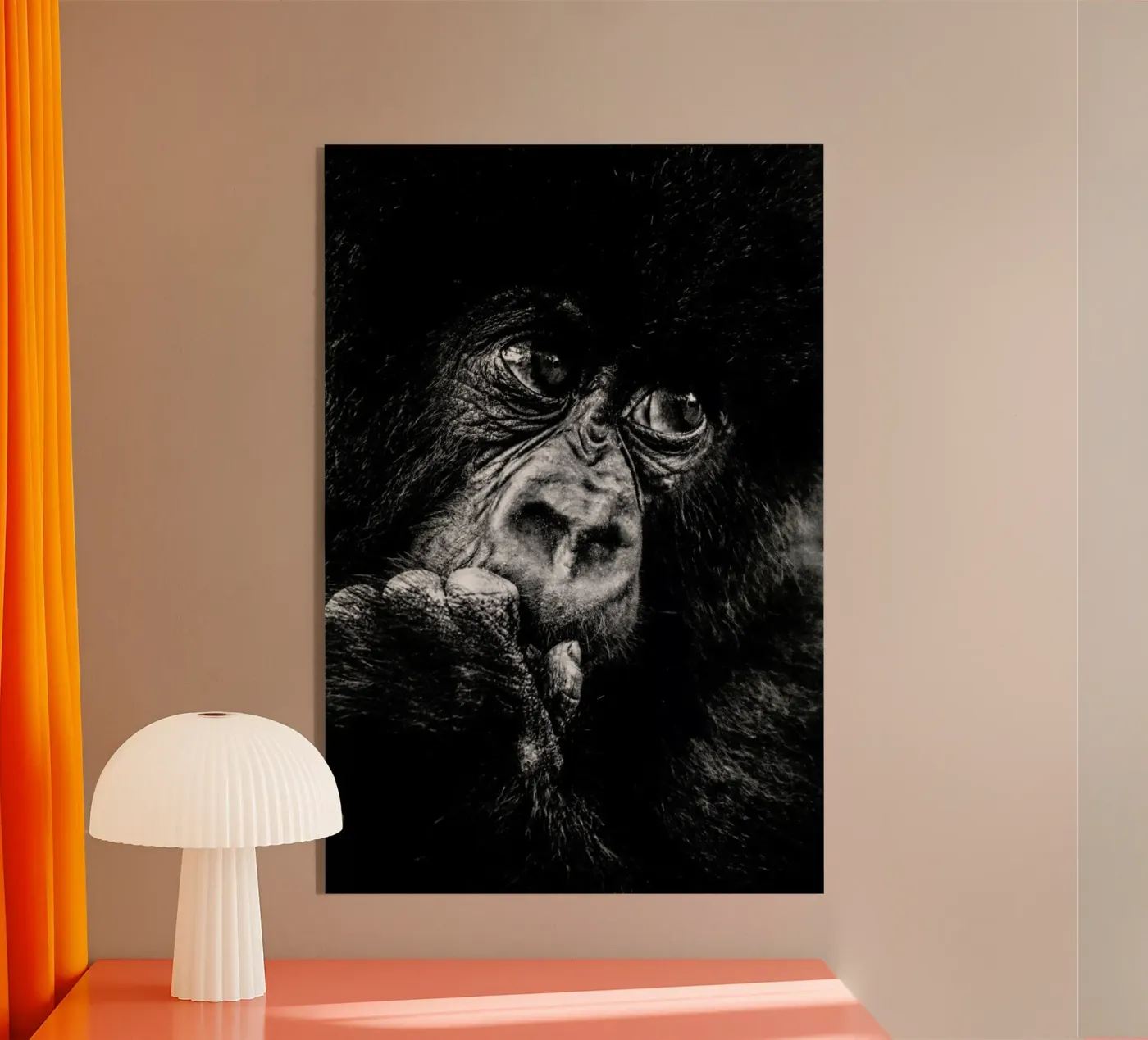 Gorilla plexiglass da Natural Kingdom