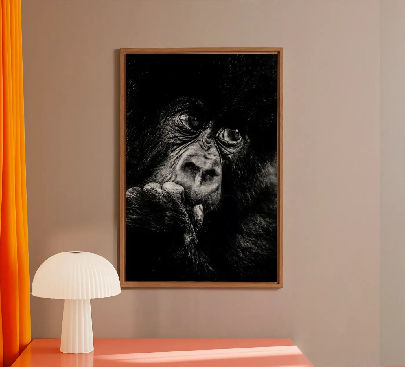 Gorilla forex plate by Natural Kingdom
