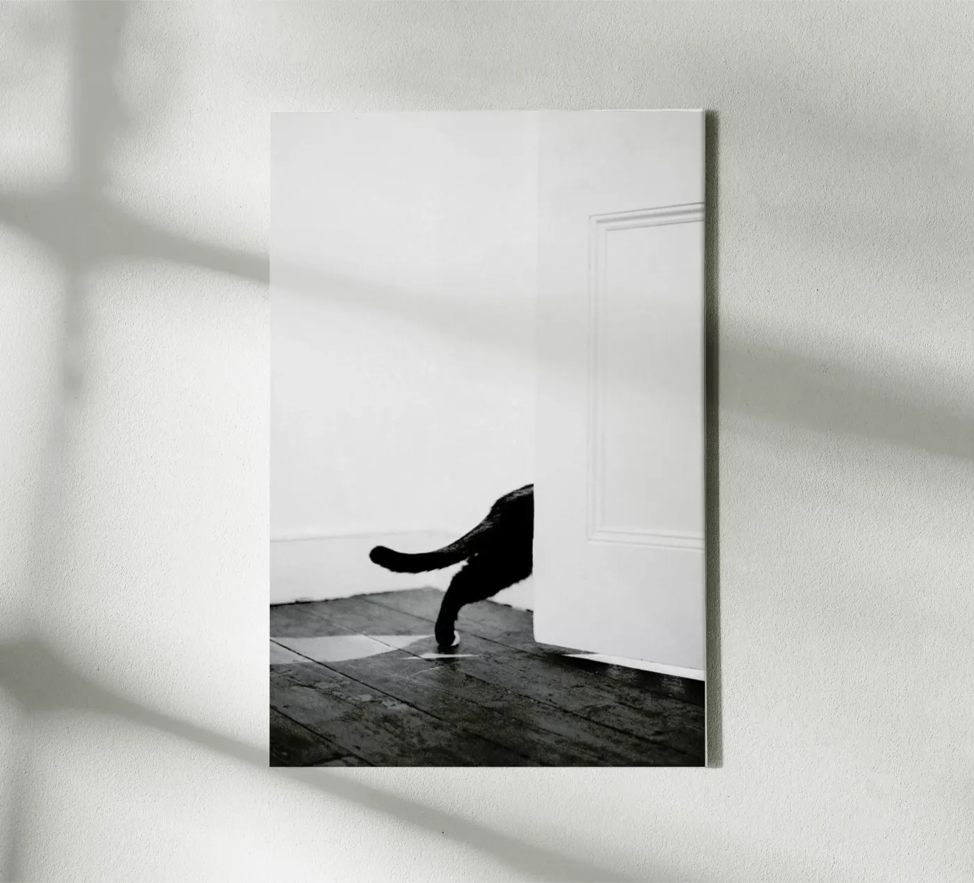 Sneaking Out tela da METROPOLIS