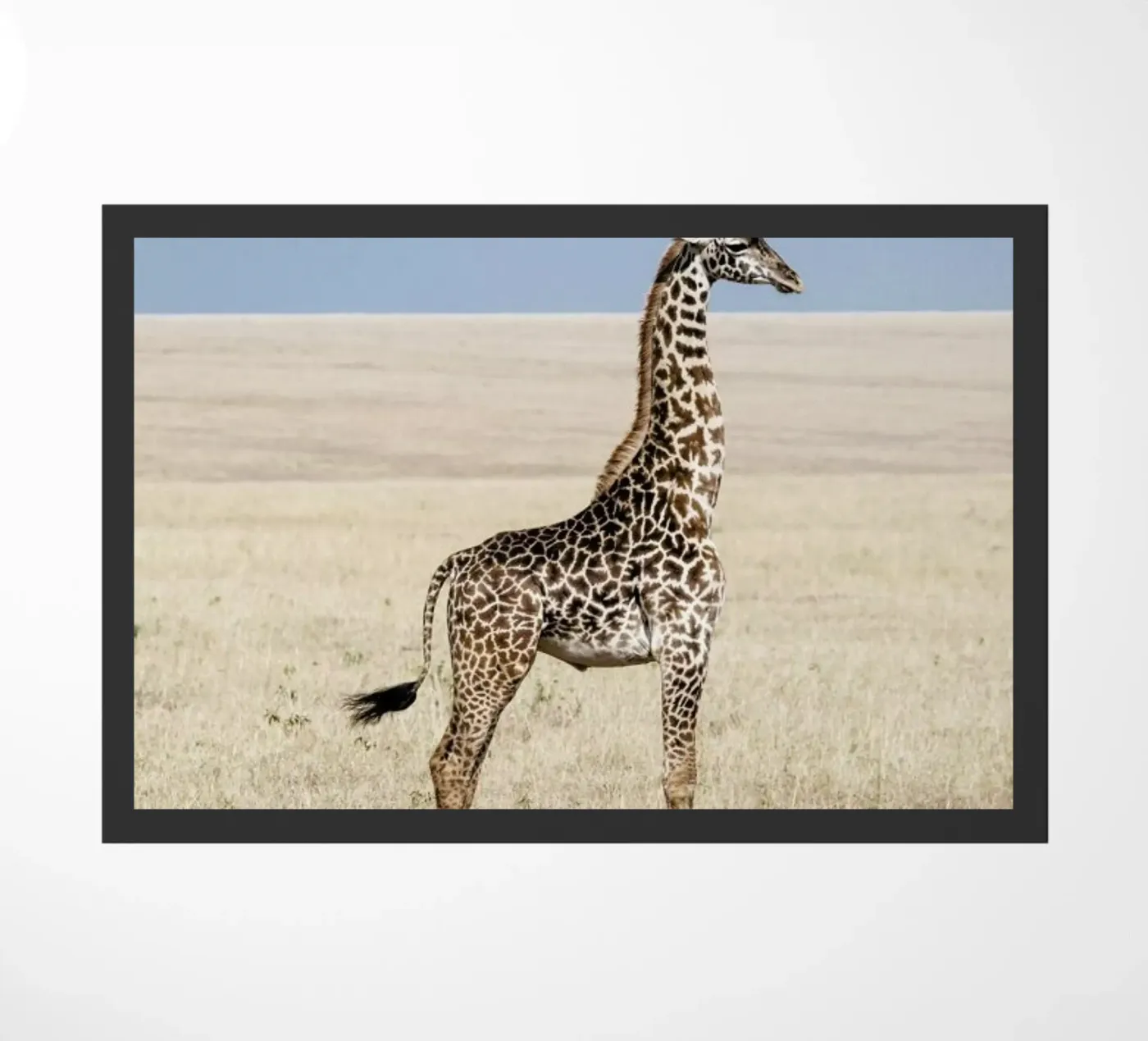 Giraffe zerbino da Natural Kingdom