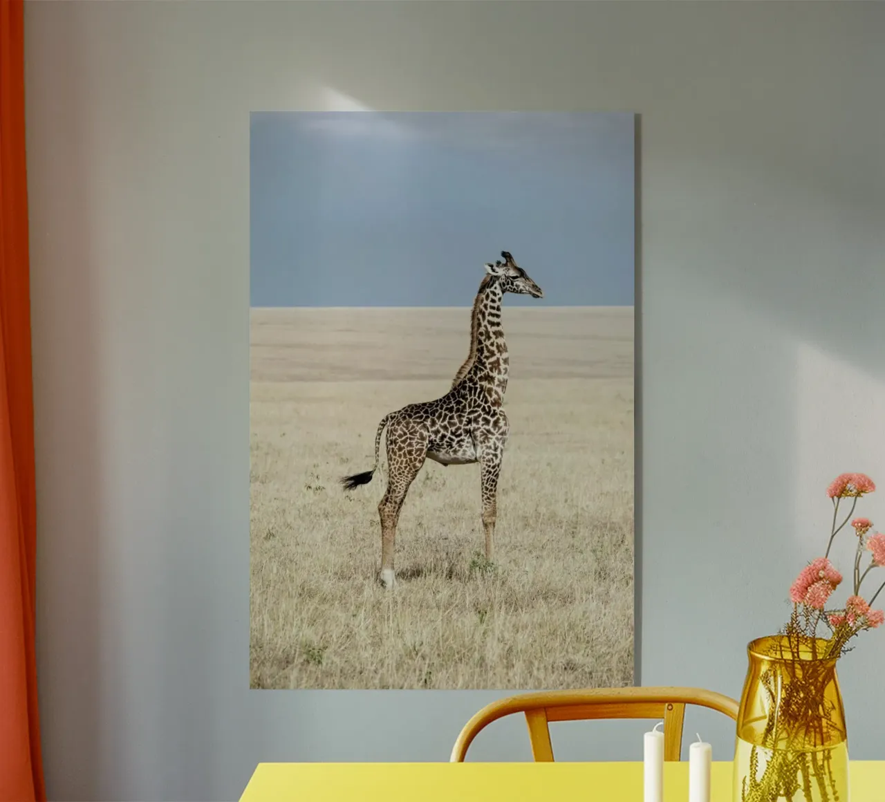 Giraffe plexiglass da Natural Kingdom