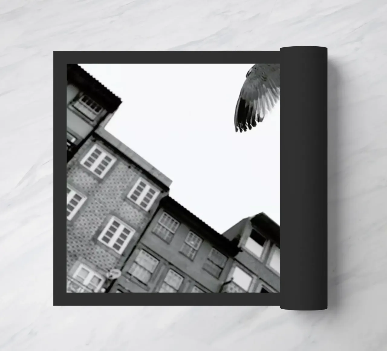 Harbour zerbino da Sebastian Hilgetag