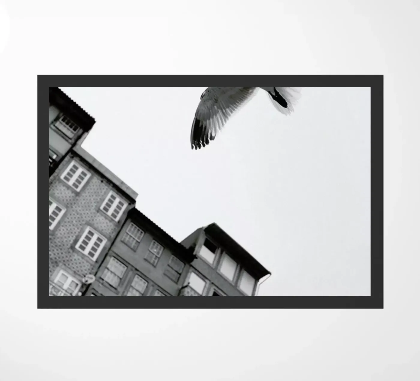 Harbour zerbino da Sebastian Hilgetag