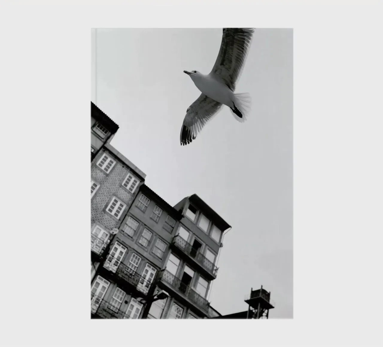 Harbour notebook by Sebastian Hilgetag