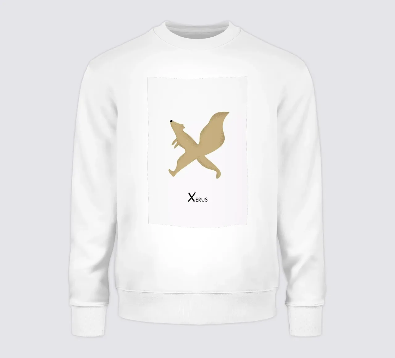 X for Xerus Sweatshirt von Little Flourishes