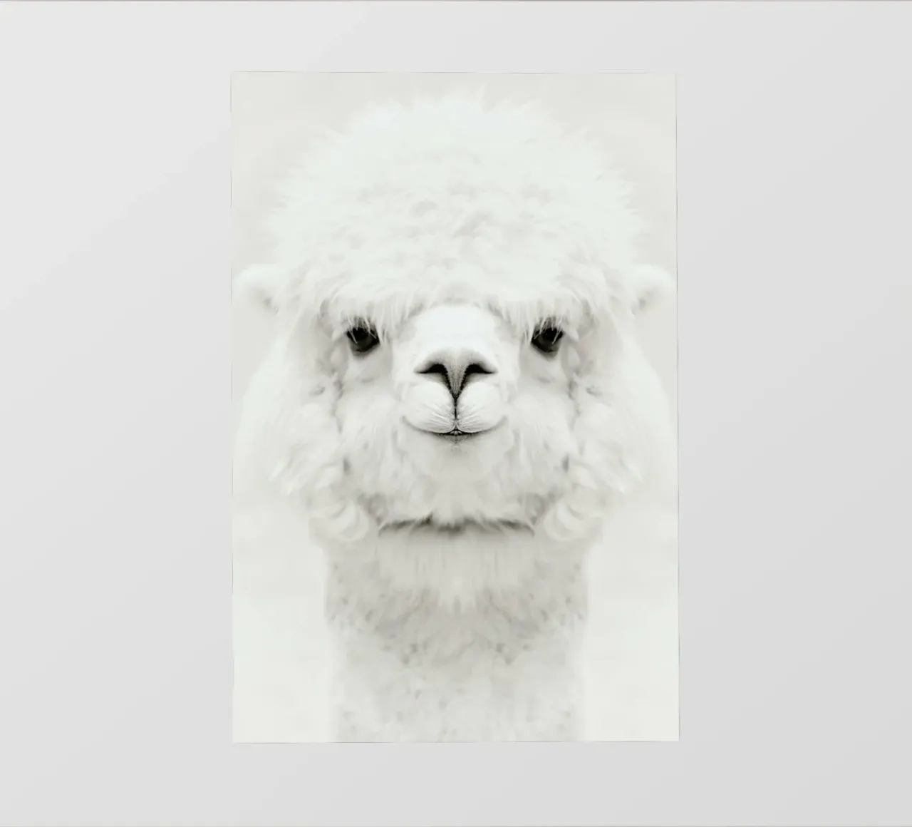 Smiling Alpaca telo in pvc da Monika Strigel