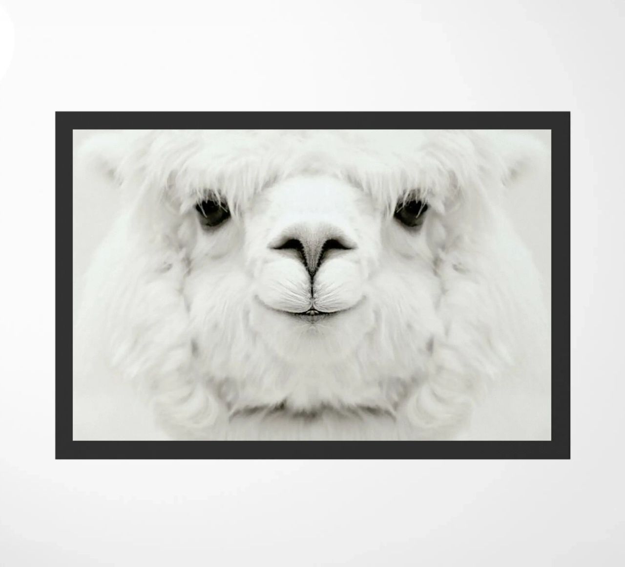 Smiling Alpaca zerbino da Monika Strigel