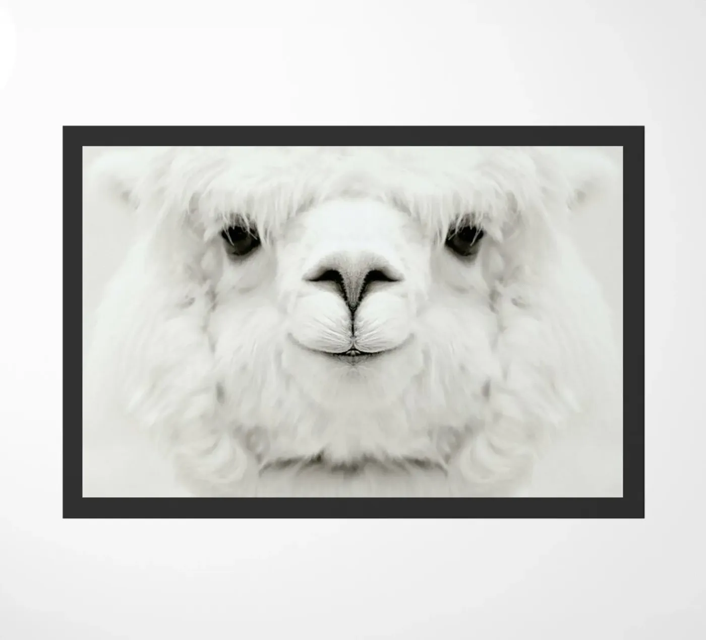 Smiling Alpaca zerbino da Monika Strigel