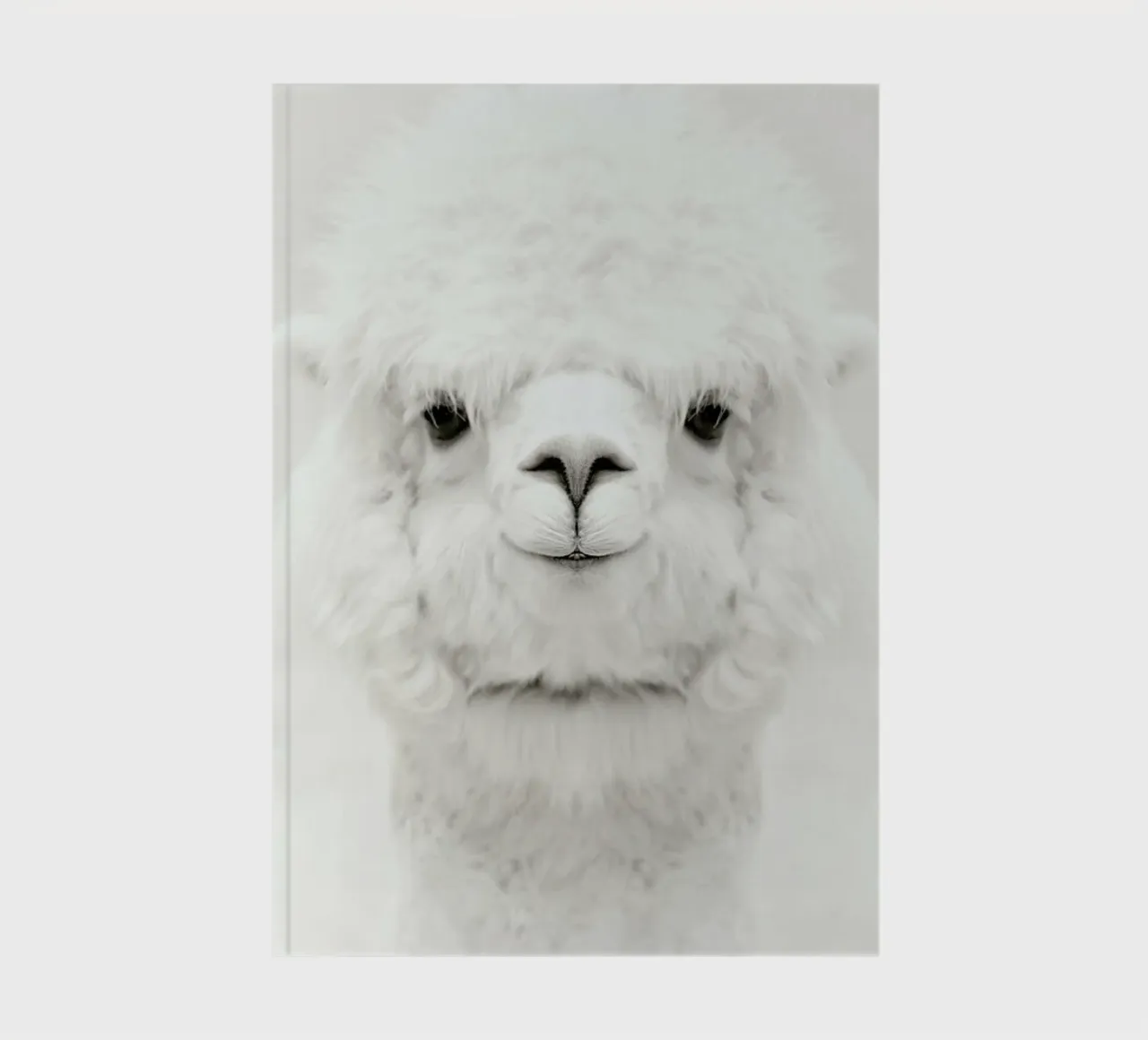 Smiling Alpaca notebook by Monika Strigel