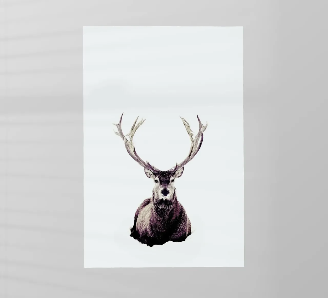 Stag InSnow 03 pellicola backlit da Monika Strigel