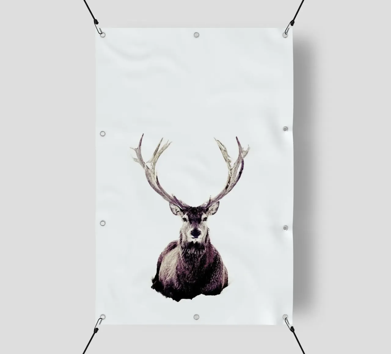 Stag InSnow 03 telo in pvc da Monika Strigel