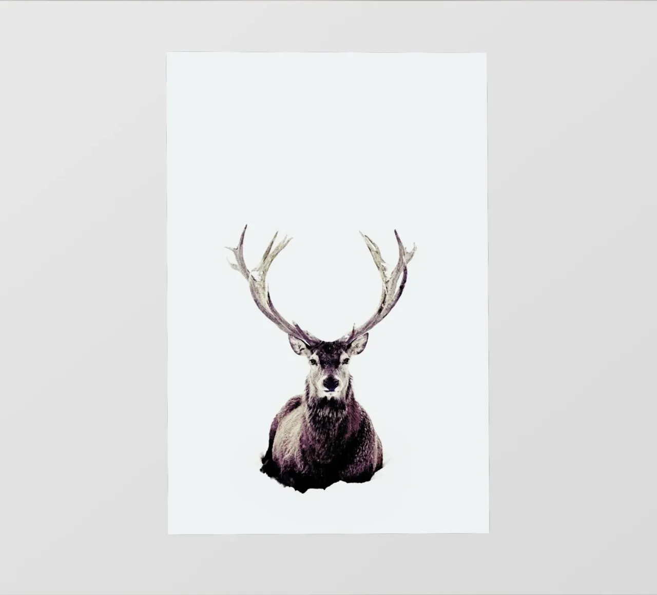 Stag InSnow 03 telo in pvc da Monika Strigel