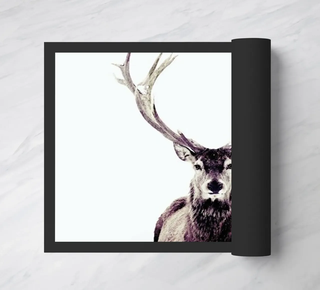 Stag InSnow 03 zerbino da Monika Strigel