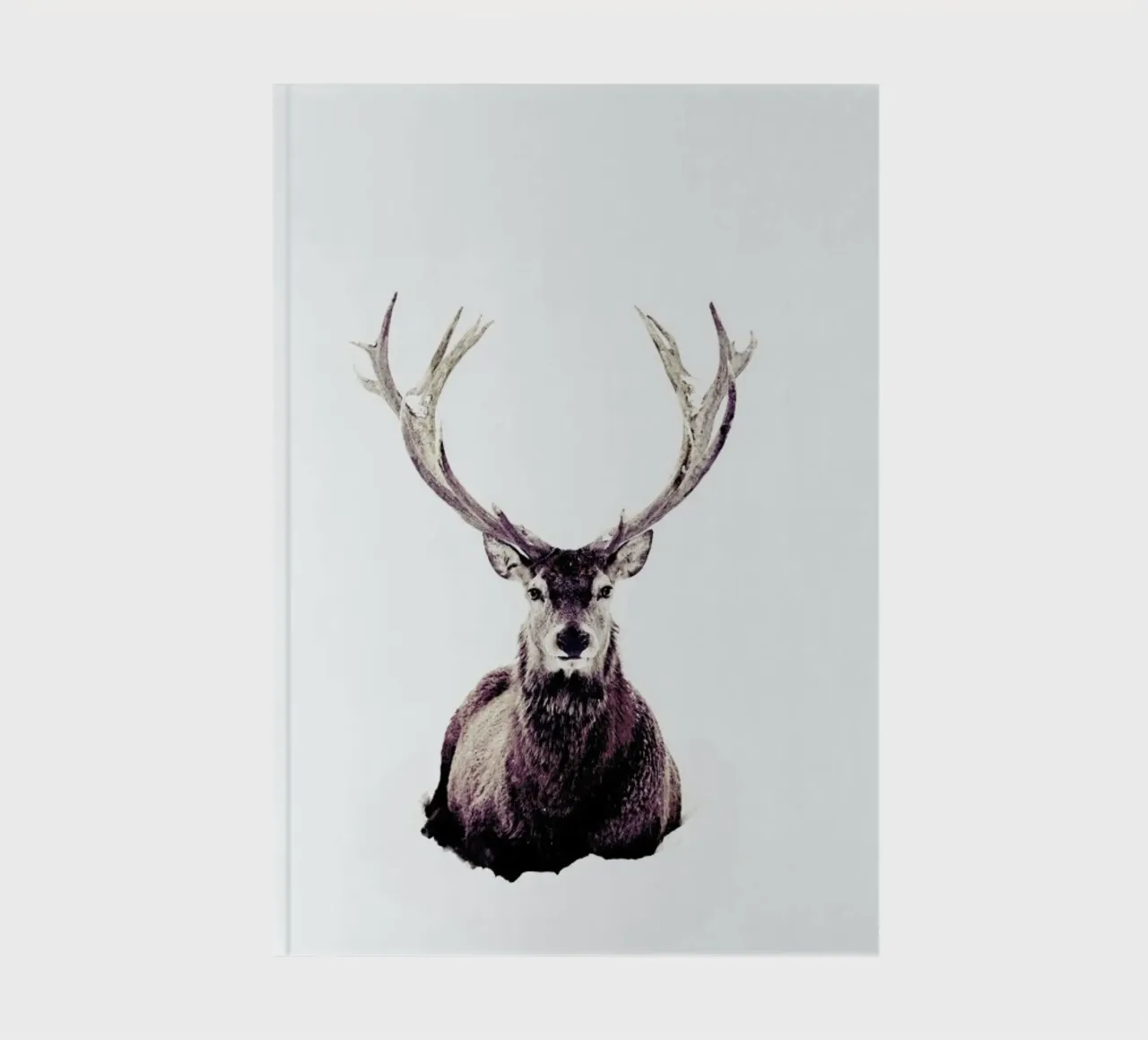 Stag InSnow 03 notebook by Monika Strigel