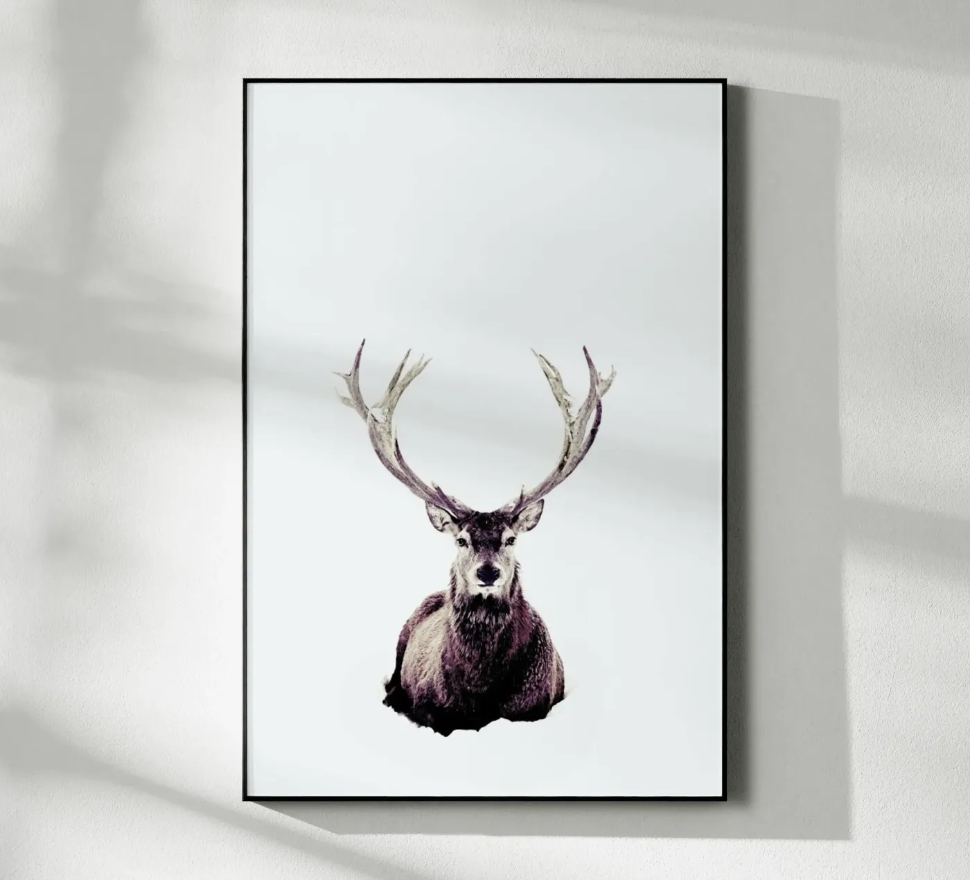 Stag InSnow 03 plexiglass da Monika Strigel