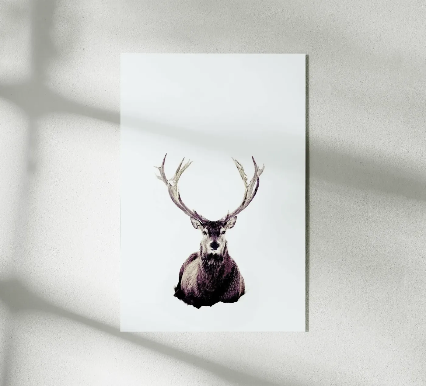 Stag InSnow 03 plexiglass da Monika Strigel