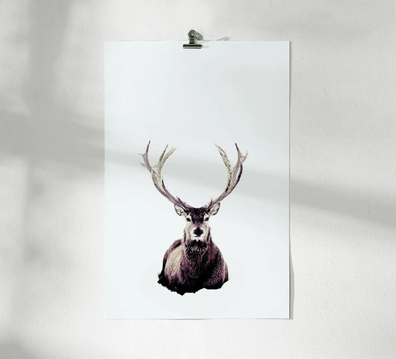 Stag InSnow 03 carta hahnemühle da Monika Strigel