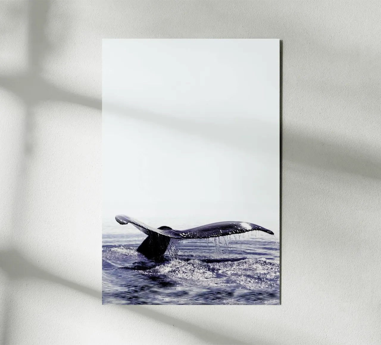 Whale Song Iceland alluminio dibond da Monika Strigel