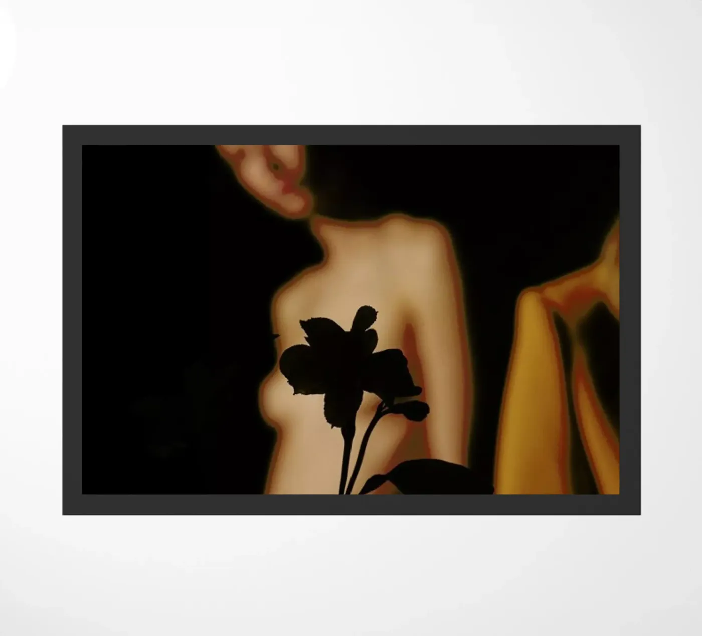 Freddy 1 zerbino da Laura Palm