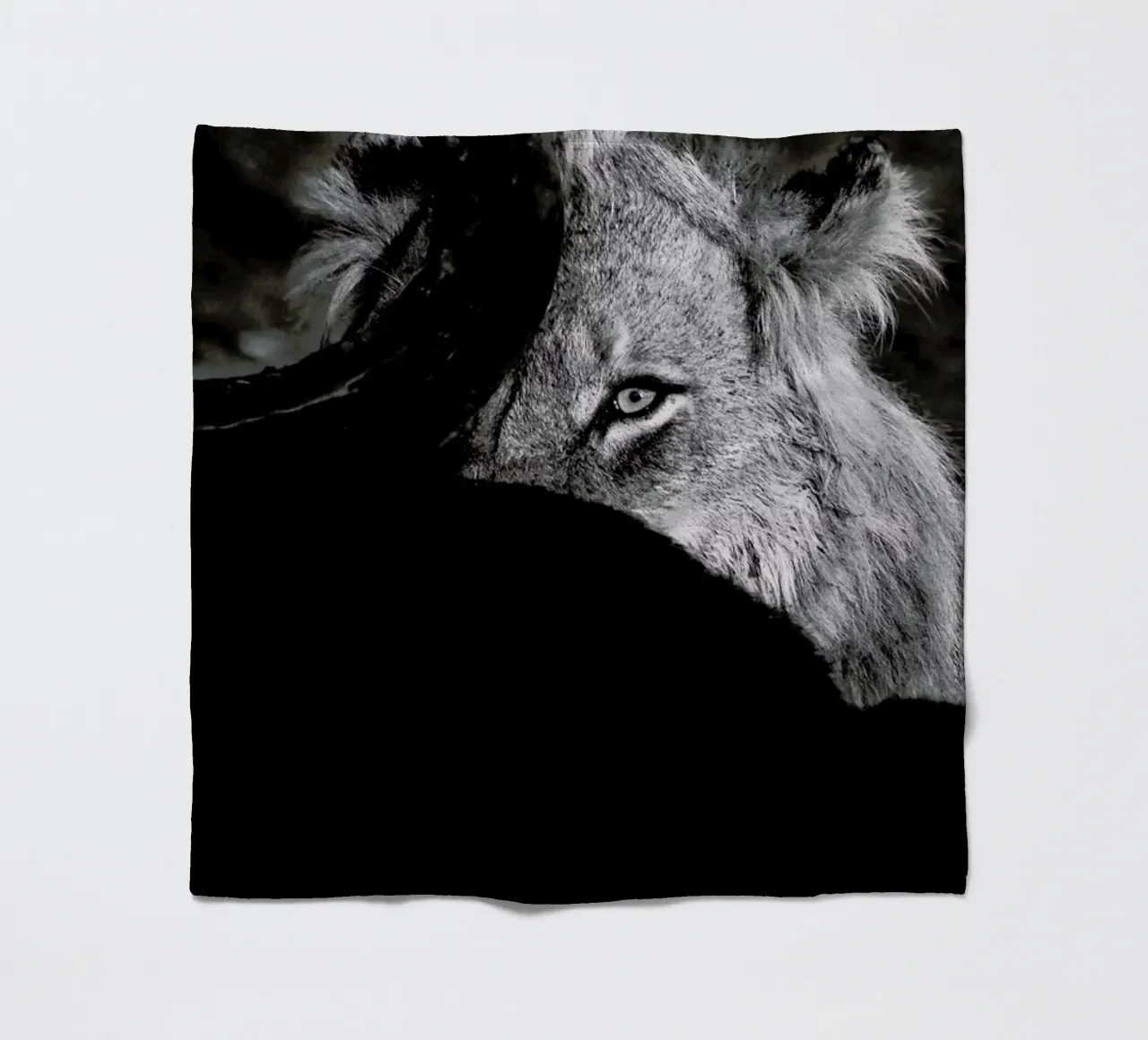 Staring Lion coperta in pile da Natural Kingdom