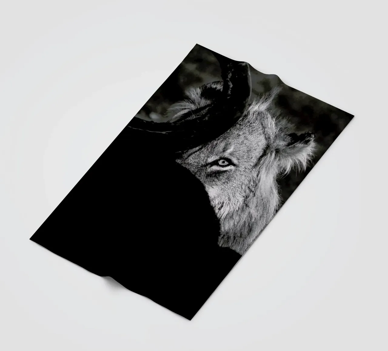 Staring Lion coperta in pile da Natural Kingdom