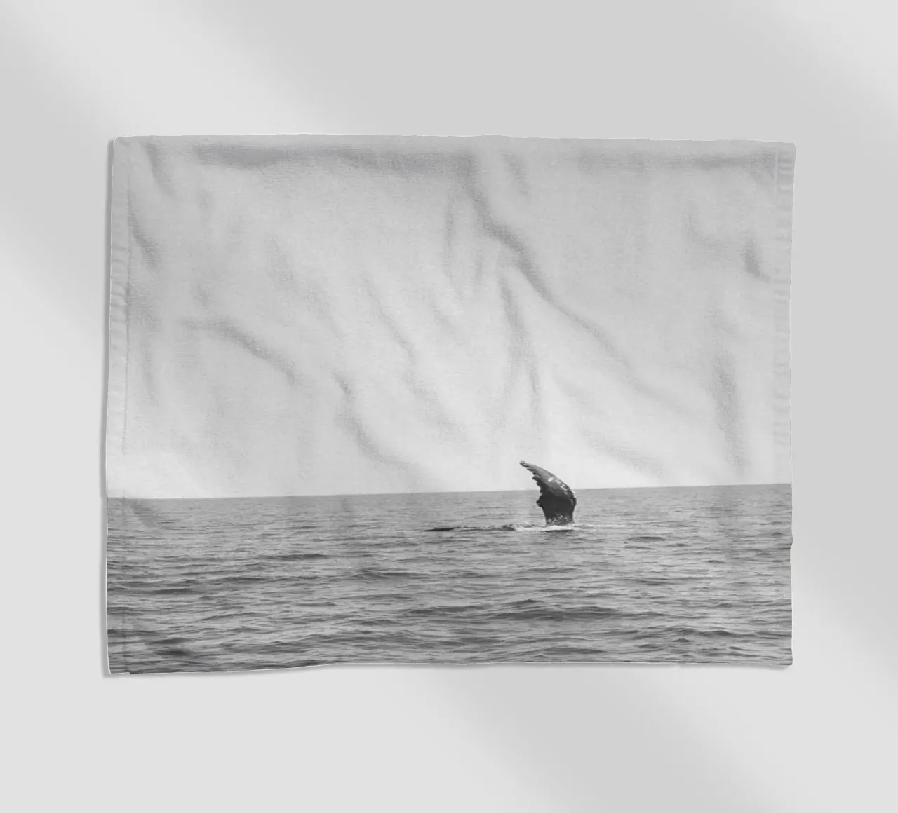 Reach telo mare da Chris Abatzis