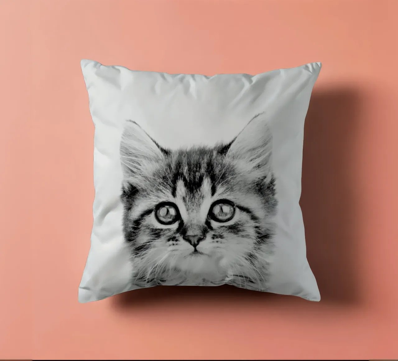 Kitten Classic cuscino da Paws & Claws