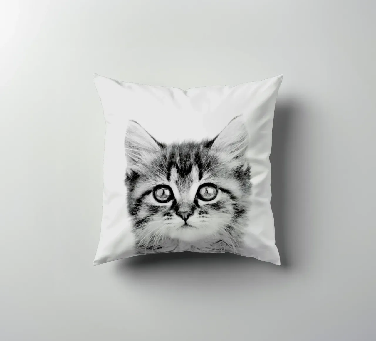 Kitten Classic cuscino da Paws & Claws