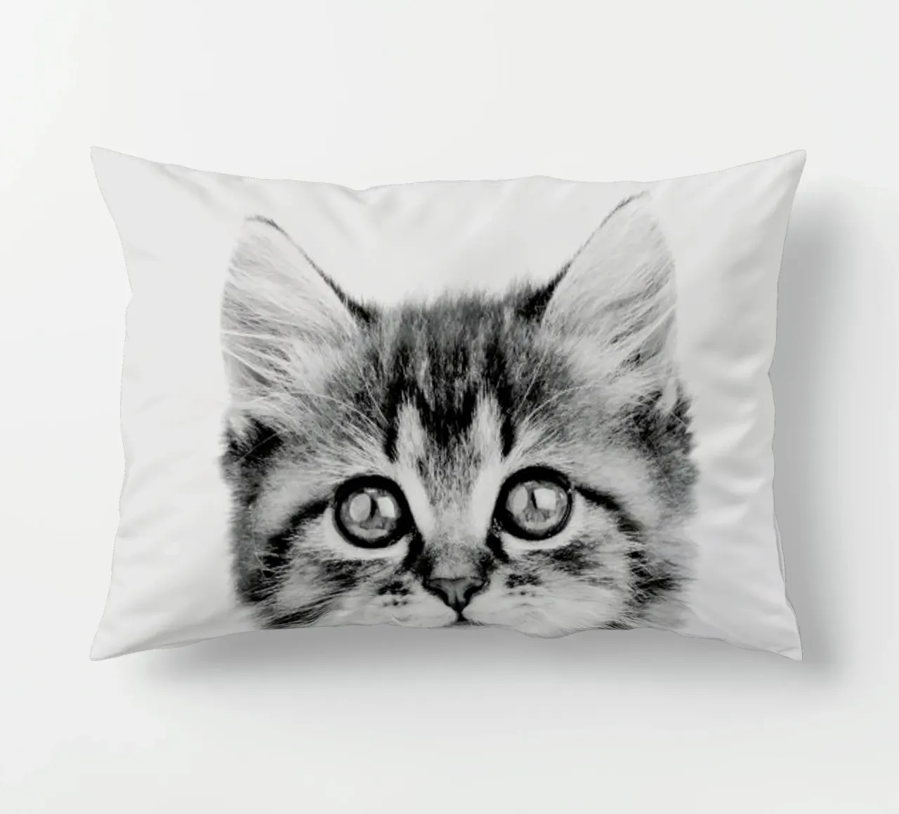 Kitten Classic cuscino da Paws & Claws