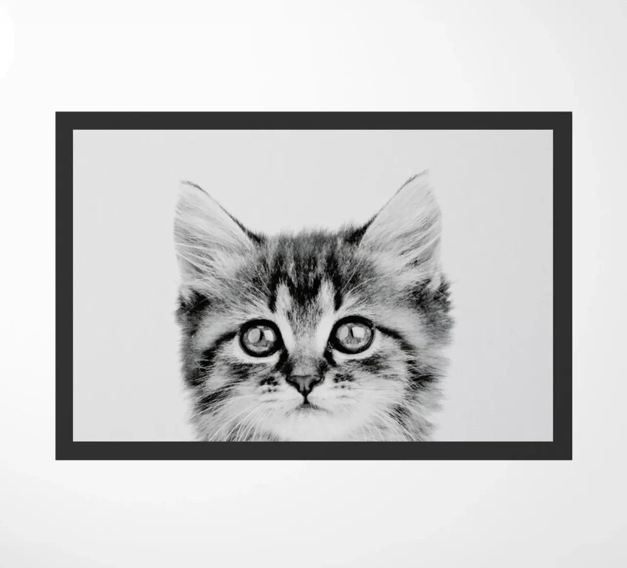 Kitten Classic zerbino da Paws & Claws