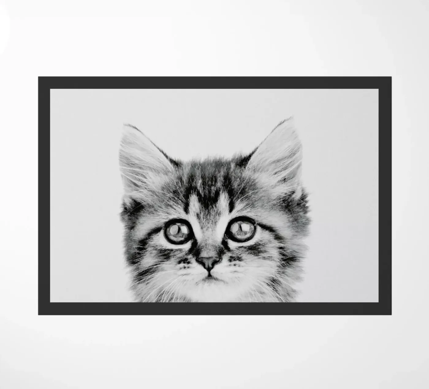 Kitten Classic zerbino da Paws & Claws