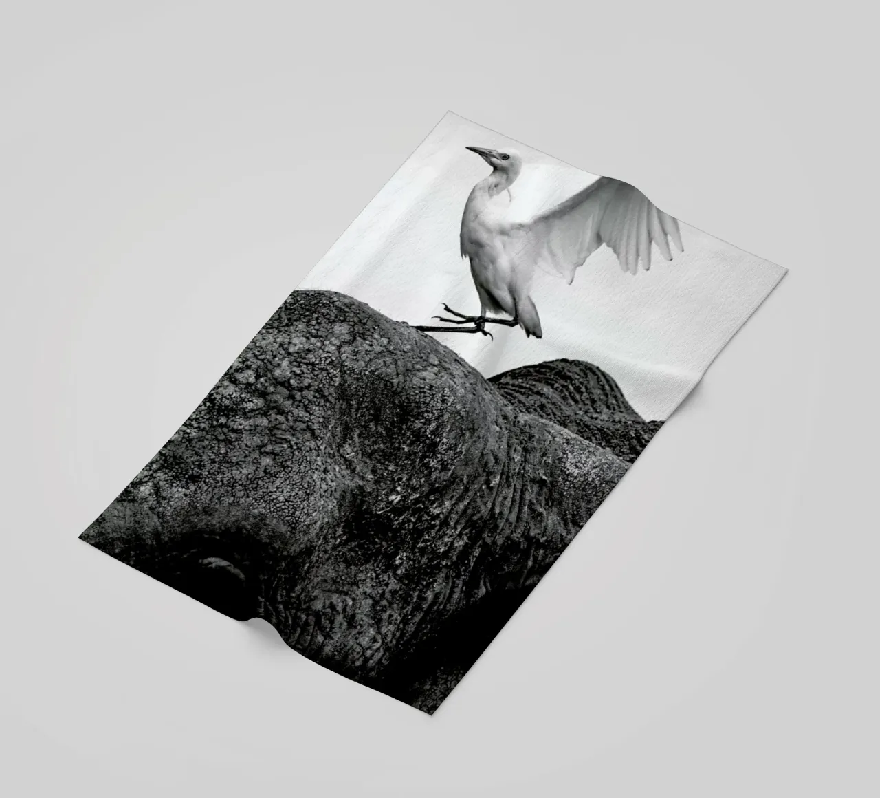 Seagull Perching telo mare da Natural Kingdom