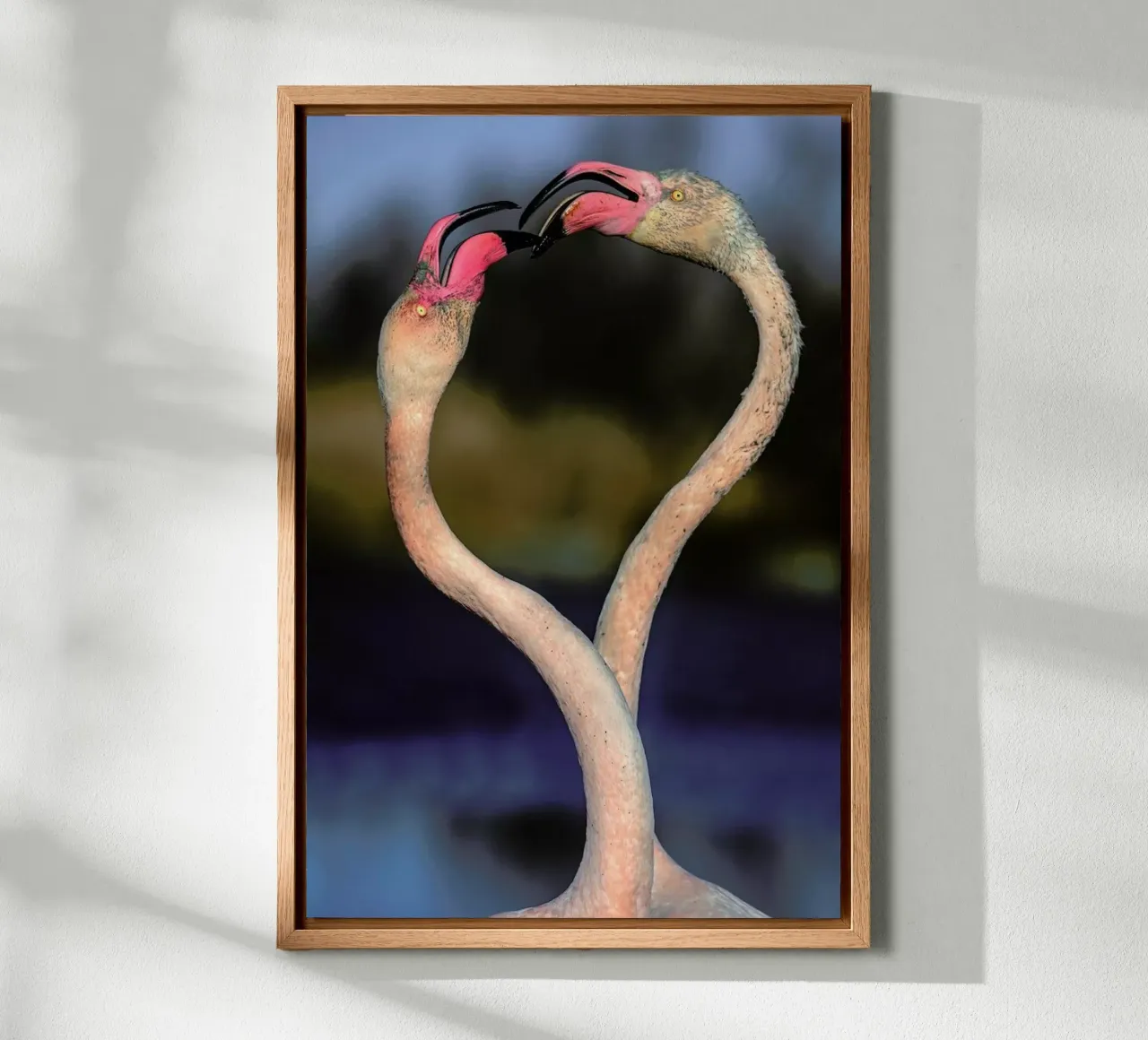 Fighting Flamingos - Xavier Ortega alluminio dibond da Pictufy