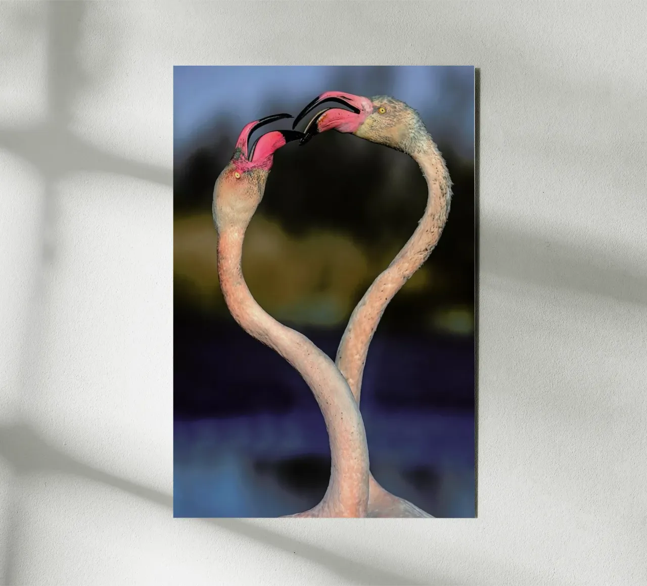 Fighting Flamingos - Xavier Ortega alluminio dibond da Pictufy