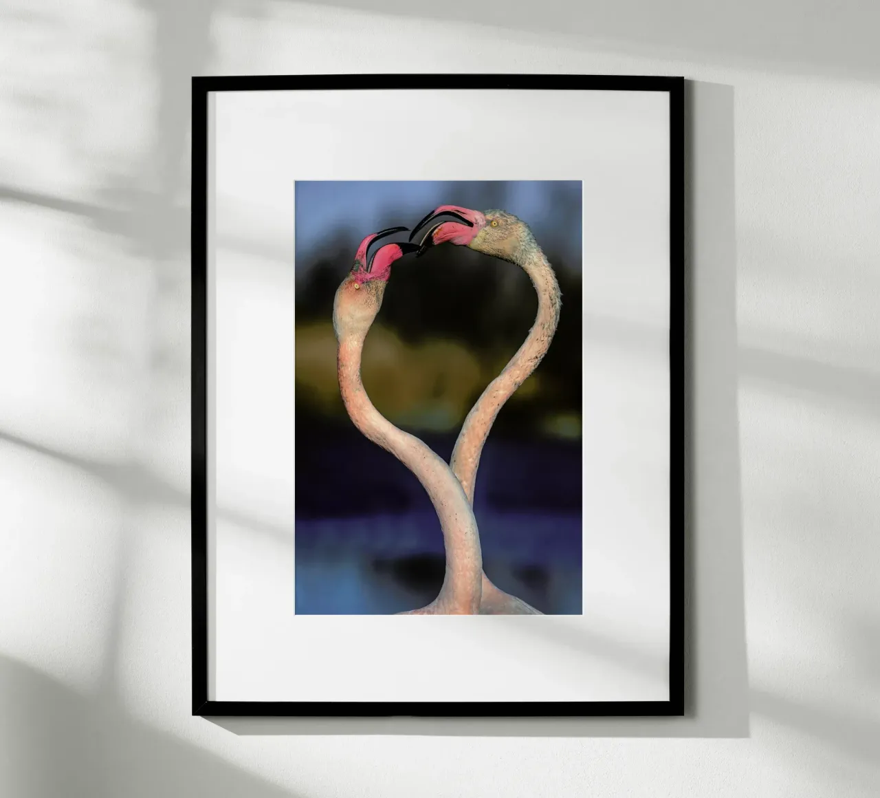Fighting Flamingos - Xavier Ortega carta hahnemühle da Pictufy
