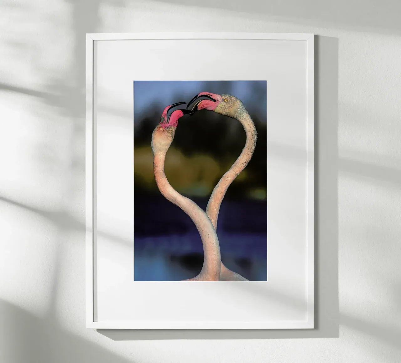 Fighting Flamingos - Xavier Ortega carta hahnemühle da Pictufy