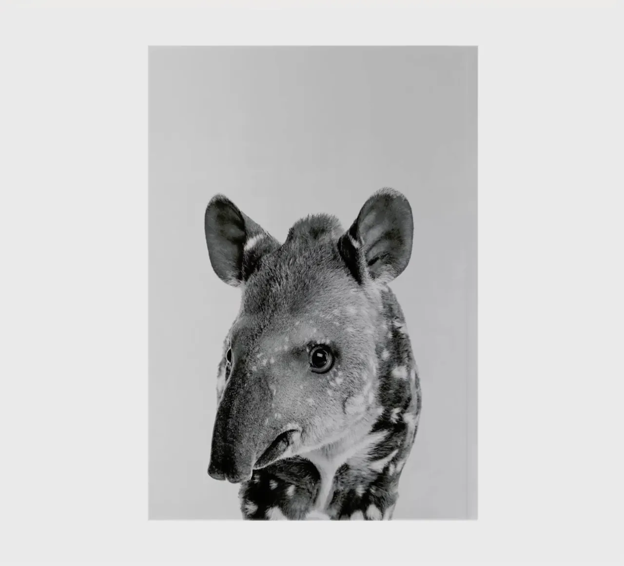 Tapir Classic notebook by Paws & Claws