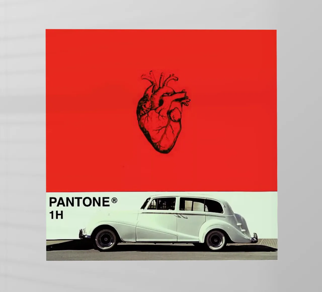 there can only be one, standard one pellicola backlit da FinnanoFenno