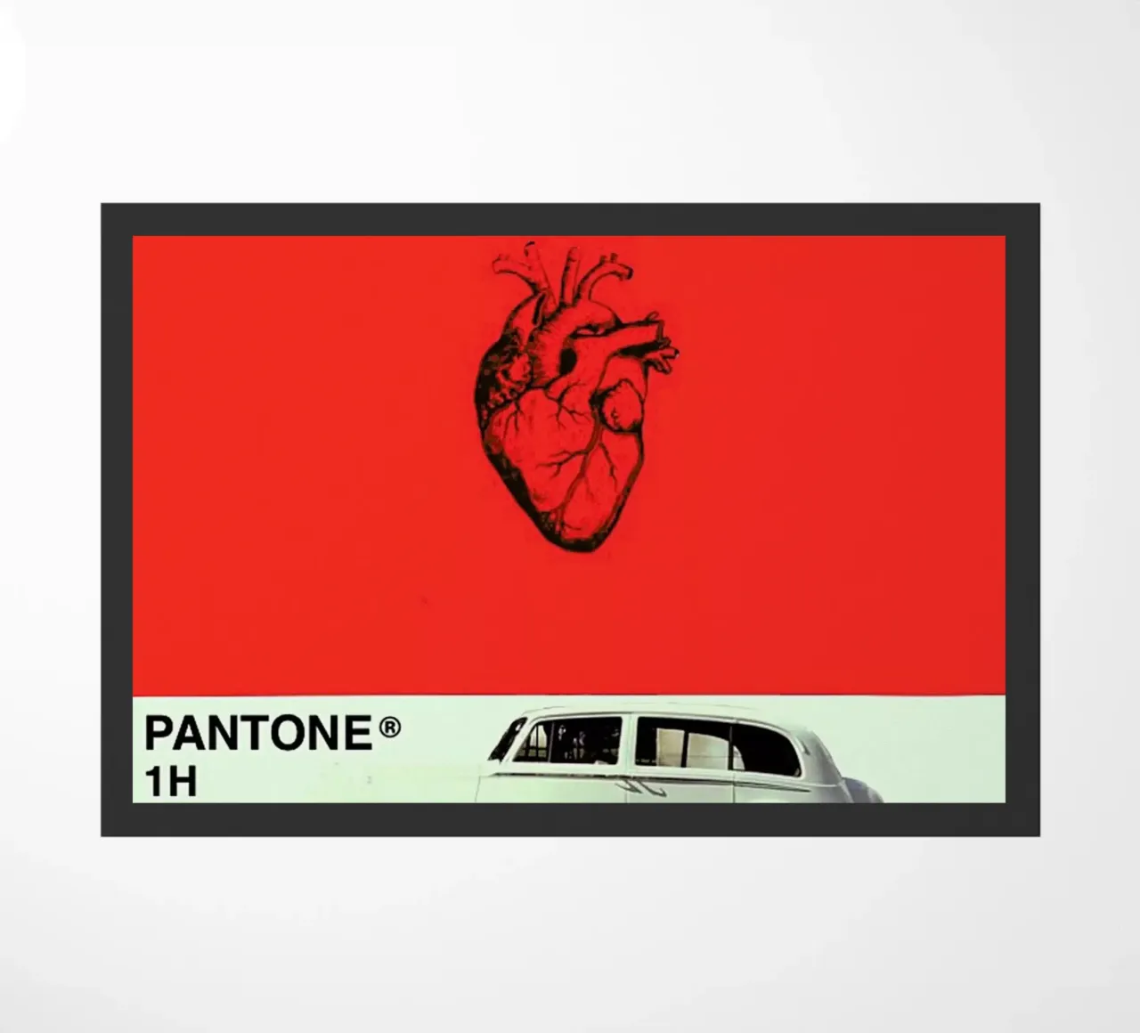 there can only be one, standard one zerbino da FinnanoFenno