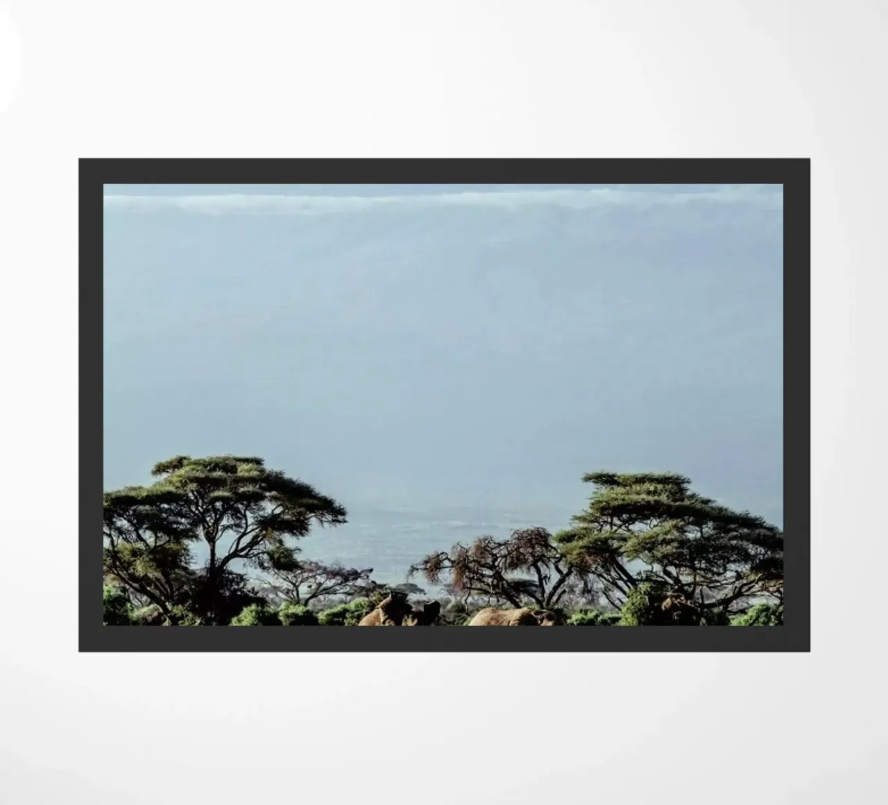 Wild Side zerbino da Natural Kingdom