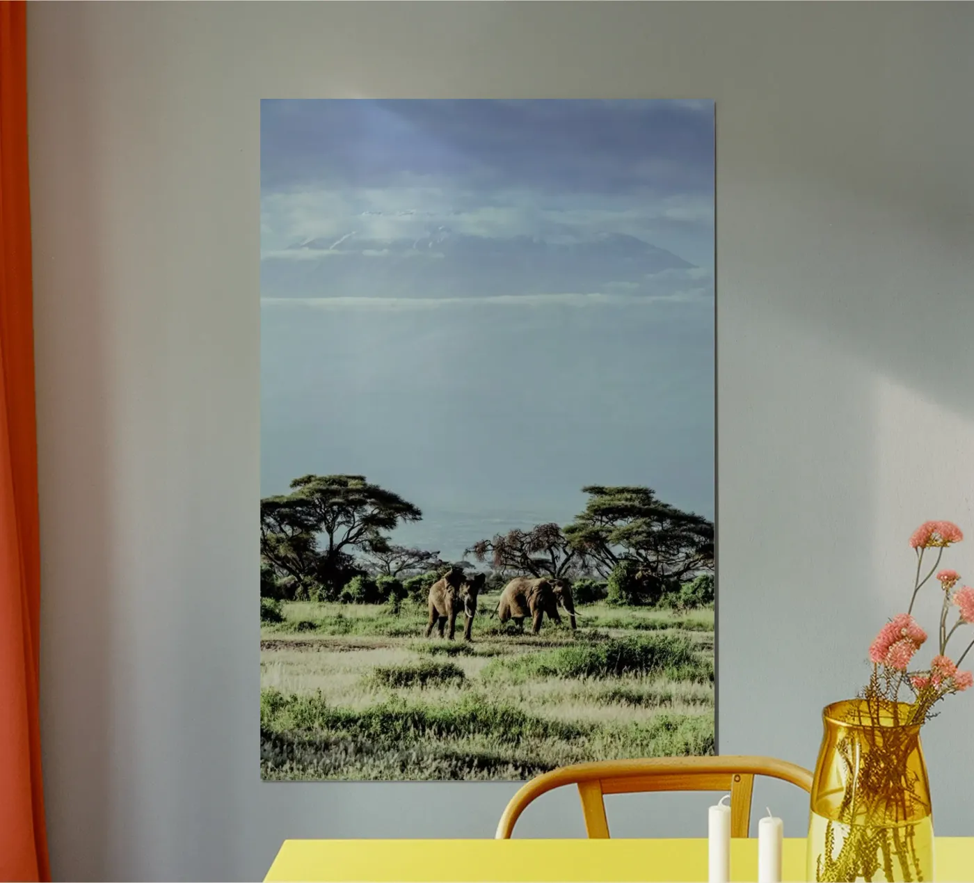Wild Side poster de Natural Kingdom