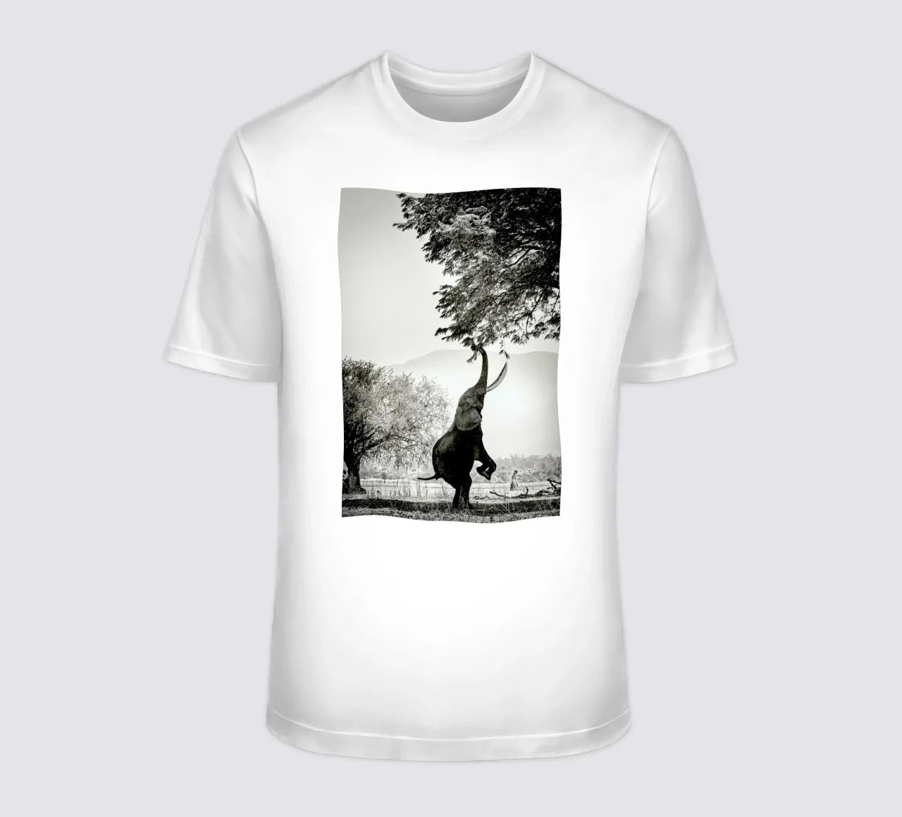 Within Reach t-shirt da Natural Kingdom