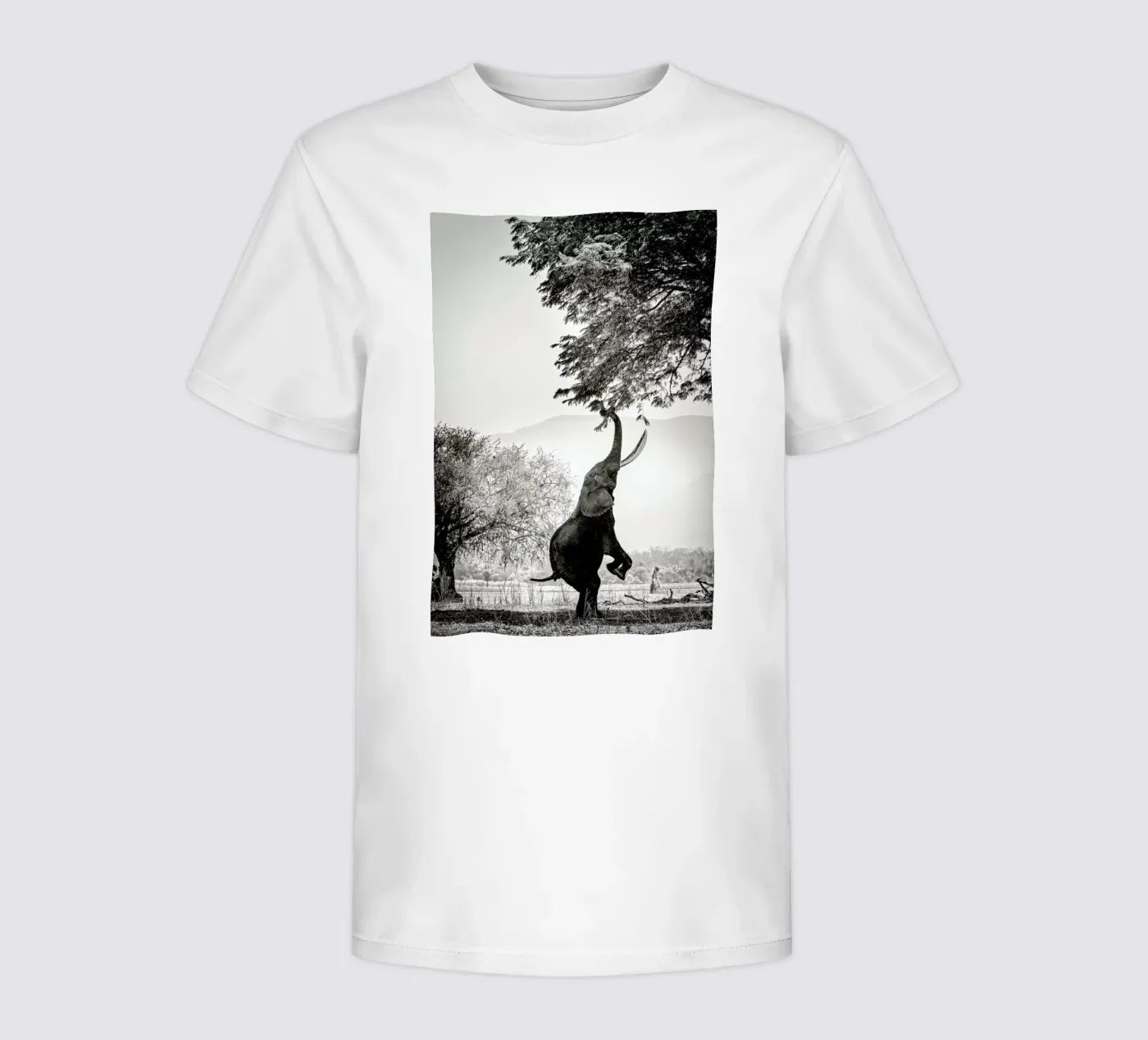 Within Reach t-shirt bambini da Natural Kingdom