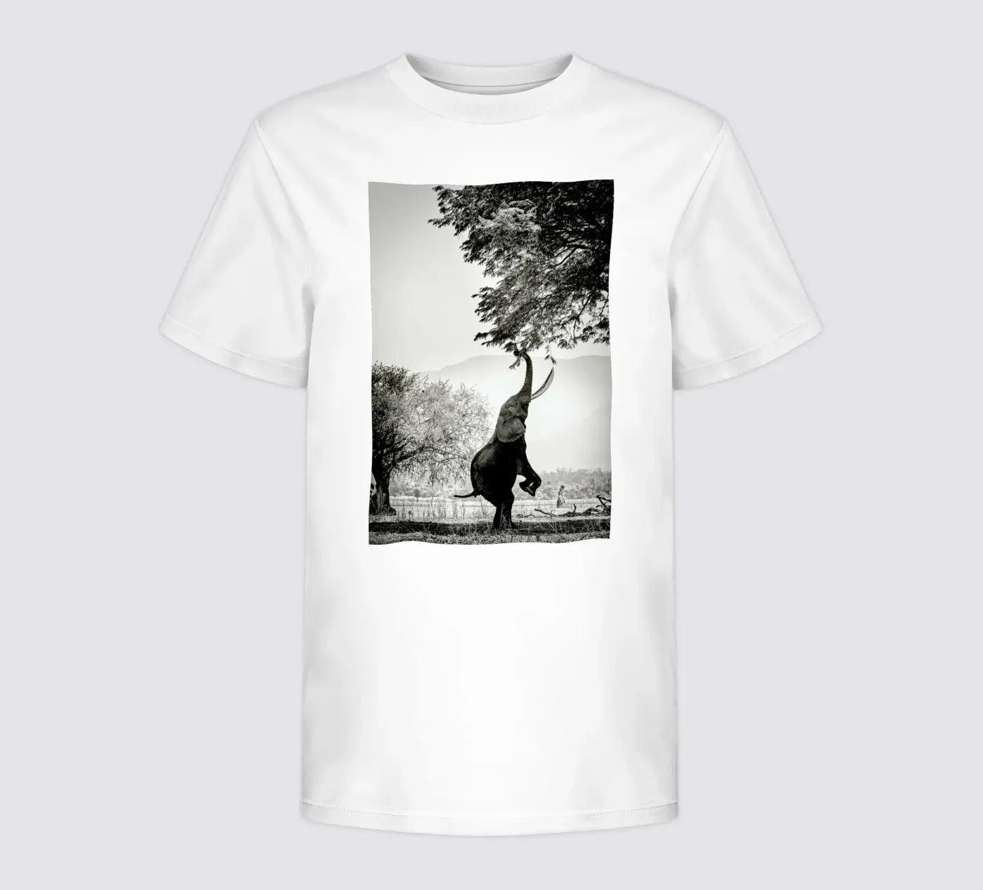 Within Reach t-shirt bambini da Natural Kingdom