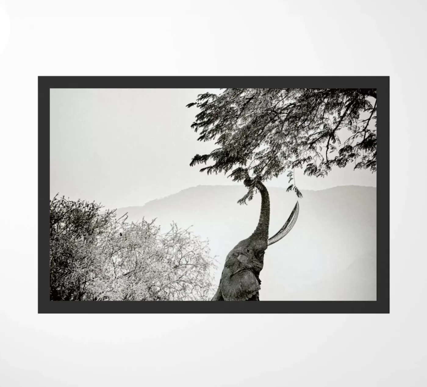 Within Reach doormat by Natural Kingdom